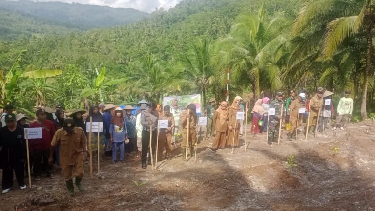 Ciamis Garap Lahan Kering! Padi Gogo Siap Dukung Swasembada Pangan Nasional di Banjaranyar