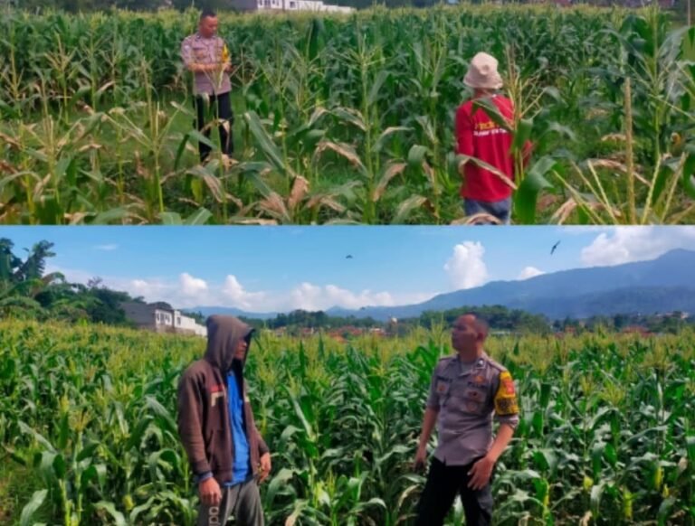 Bhabinkamtibmas Polsek Samarang Laksanakan Sambang Desa untuk Jaga Harkamtibmas