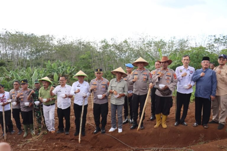 Penanaman Jagung Serentak di Ciamis Sukses Dukung Ketahanan Pangan Nasional