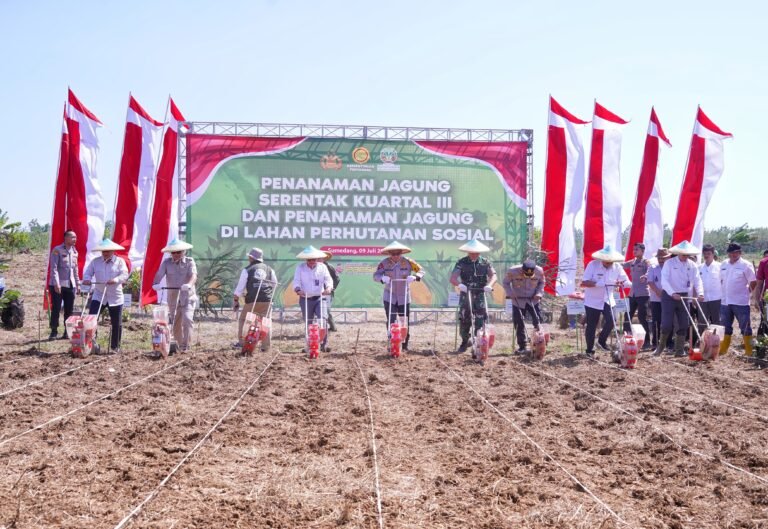 Kapolda Jabar Tanam Jagung Serentak di Sumedang, Dukung Kemandirian Pangan dan Kesejahteraan Petani