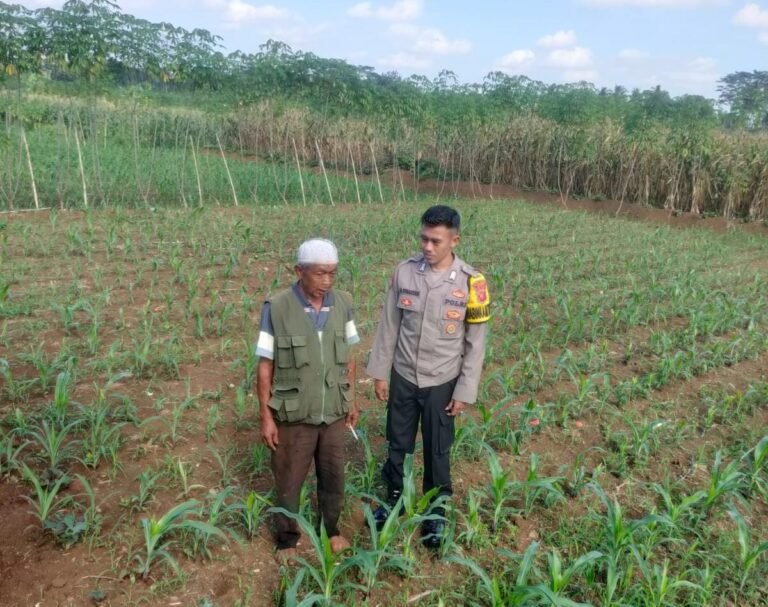 Polsek Cikoneng Dukung Ketahanan Pangan Lewat Program ASTA CITA di Desa Gegempalan