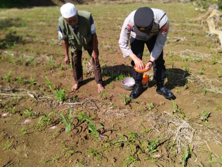 *Polsek Cikoneng Dorong Ketahanan Pangan Melalui Sambang Program ASTA CITA”