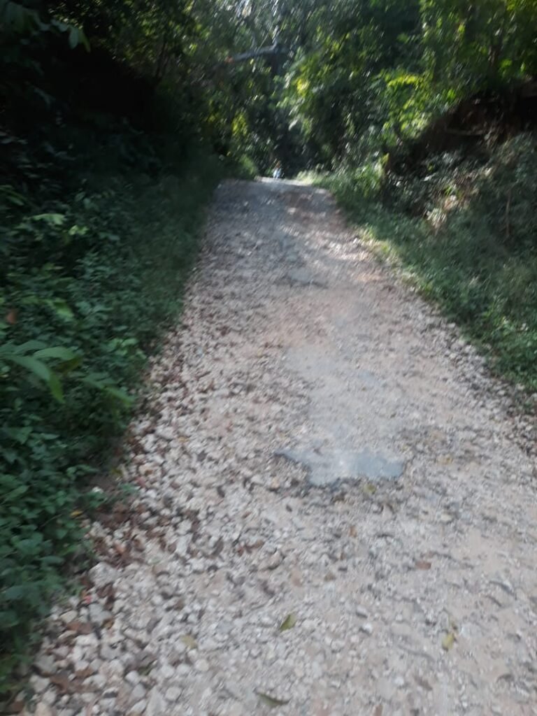 Jalan Desa Mandala Rusak Parah, Warga Pertanyakan Transparansi Dana Desa