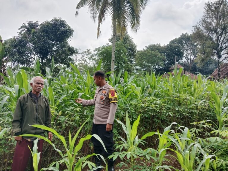 Polsek Cikoneng Dukung Ketahanan Pangan Lewat Pendampingan Program Asta Cita di Desa Nasol