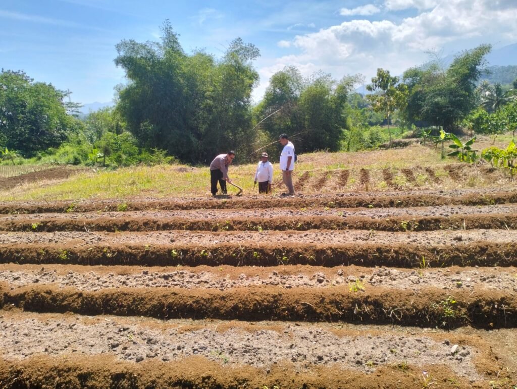Polsek Cihaurbeuti Kawal Ketahanan Pangan, Monitoring Lahan Penanaman Jagung di Desa Sukasetia
