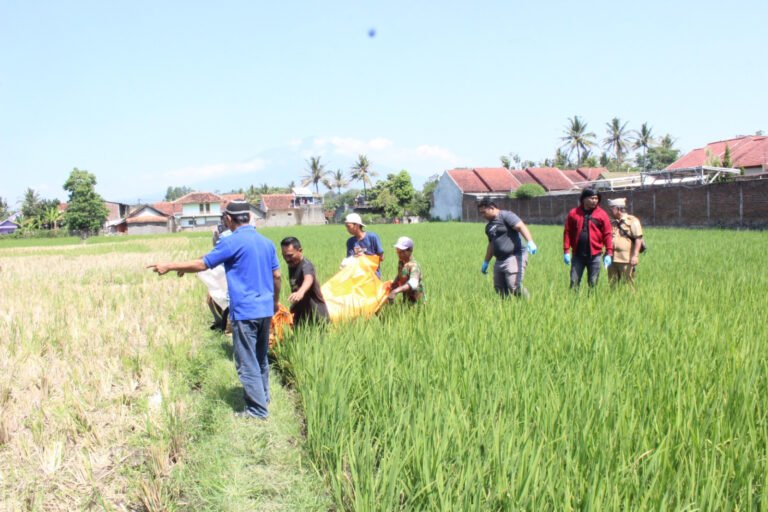 Polsek Banyuresmi Lakukan Olah TKP Penemuan Mayat Pria di Pematang Sawah Sukasenang