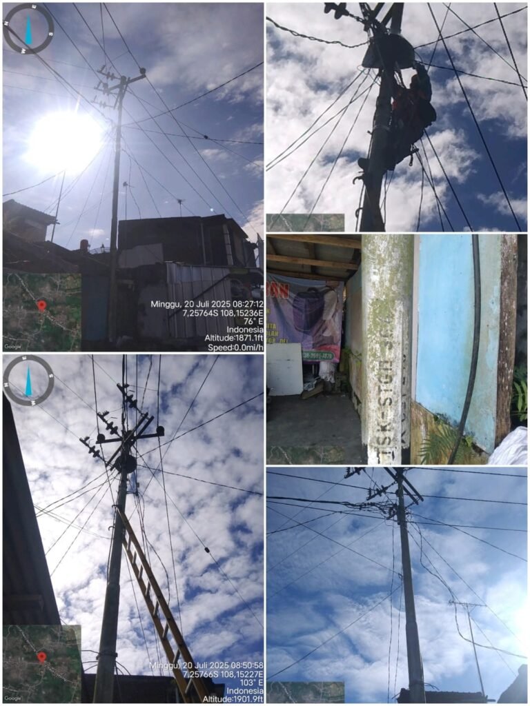 Akibat Binatang Kukang, Ketenagalistrikan di Wilayah Cisayong Terganggu