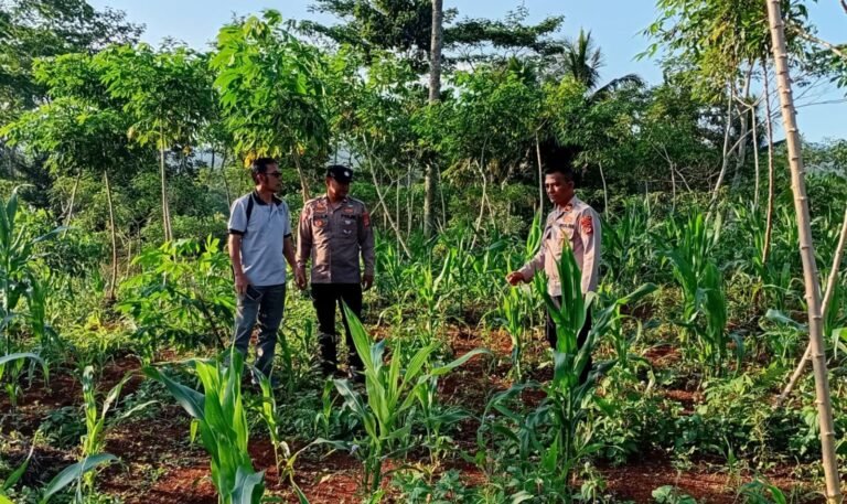 Polsek Rajadesa Gencarkan Sambang Warga, Wujudkan Kamtibmas dan Dukung Ketahanan Pangan