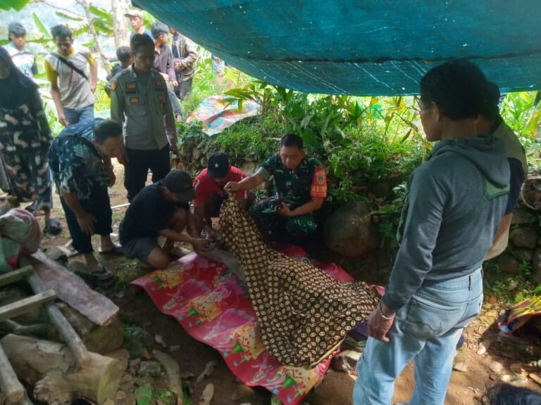 Petani Gula Aren Tewas Jatuh dari Pohon, Polsek Cisewu Lakukan Evakuasi Cepat