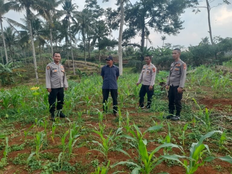 Perkuat Sinergi dengan Petani, Polsek Rajadesa Ajak Masyarakat Waspada dan Dukung Ketahanan Pangan Nasional