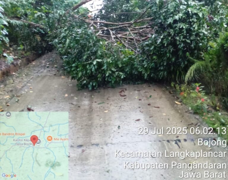 PLN Pangandaran Percepat Penanganan Tiang Patah yang Tertimpa Pohon