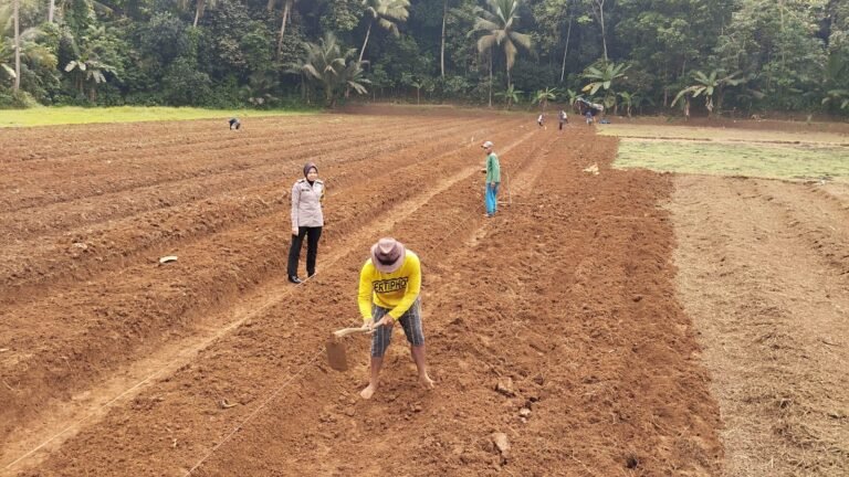 Polri Dukung Ketahanan Pangan Lokal, Polsek Ciamis Hadir untuk Tumbuhkan Semangat Swadaya Masyarakat