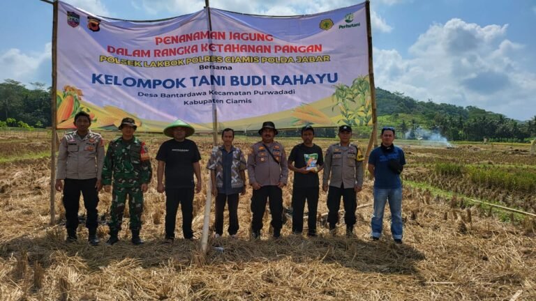 Ketahanan Pangan, Polsek Lakbok Polres Ciamis Cek Area Tanam Jagung di LBS Bantardawa