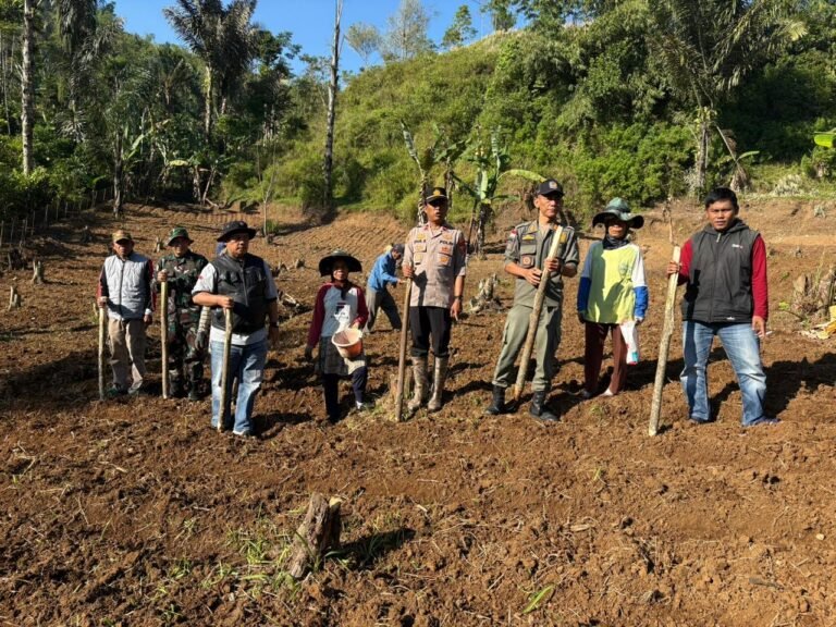 Sinergi Polri dan Masyarakat: Polres Garut Tanam Jagung di Lahan 1,5 Hektare Dukung Ketahanan Pangan Nasional