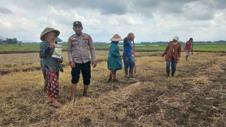 Sinergi Polisi dan Petani, Polres Ciamis Dukung Ketahanan Pangan Lewat Penanaman Jagung di Lakbok