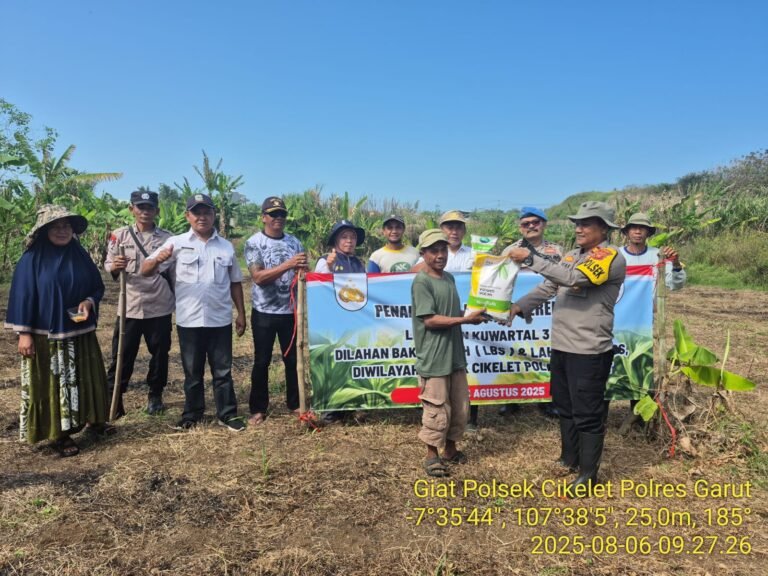 Polsek Cikelet Monitoring Sekaligus Penanaman Jagung Serentak Dalka Program Ketahanan Pangan Nasional.