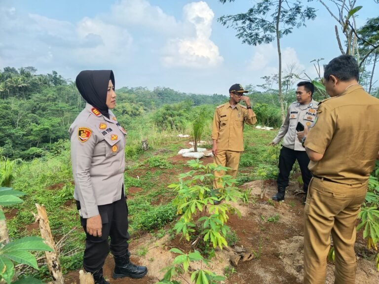 Dukung Ketahanan Pangan, Polsek Kawali Lakukan Mapping Lahan Non-LBS untuk Penanaman Jagung di Jatinagara
