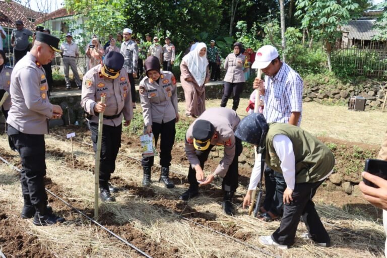 Perkuat Ketahanan Pangan, Polres Ciamis Tanam Jagung Serentak di Pesantren, Dukung Kesejahteraan Petani