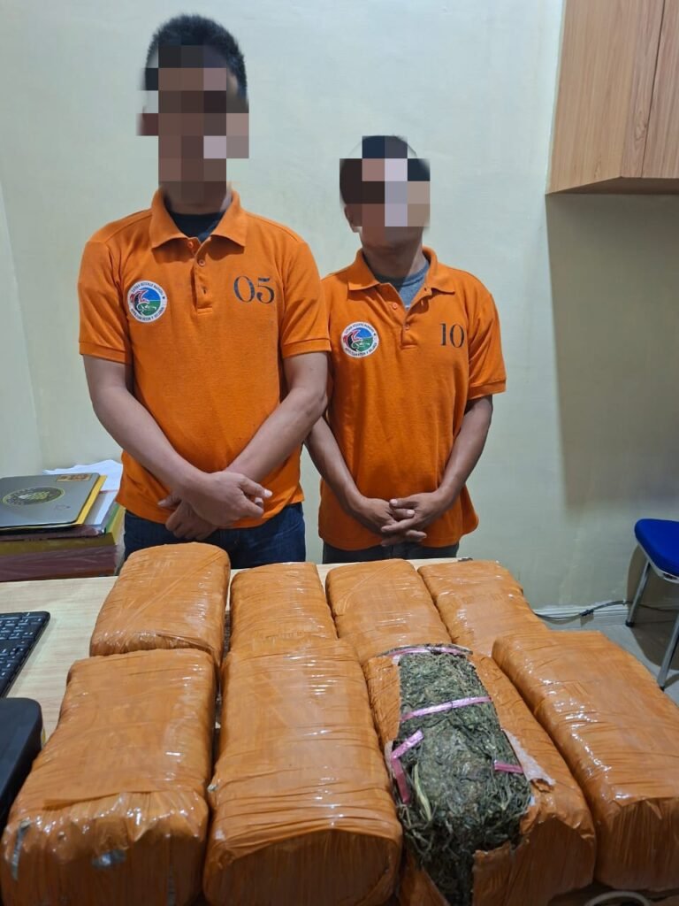 Sat Narkoba Polres Pelabuhan Belawan Gagalkan Peredaran 13 Kg Ganja, 2 Bandar Ditangkap