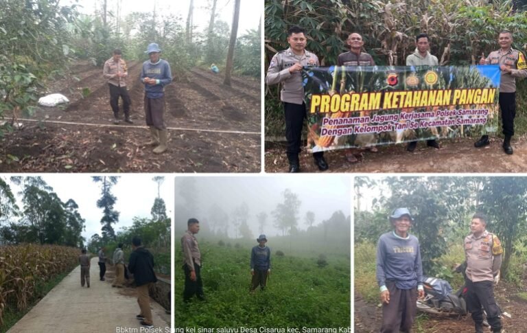 AKP Hilman Nugraha.,S.H.,M.H. Giat Patroli dan Monitoring Lahan Penanaman Jagung di Desa Cisarua Kecamatan Samarang