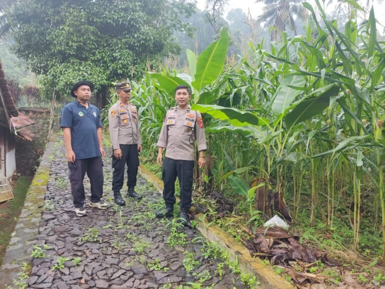 Polres Ciamis Monitoring Penanaman Jagung di Rancah, Kapolres Tekankan Dukungan Polri pada Program Ketahanan Pangan