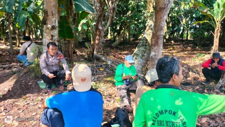 Ketahanan Pangan, Polsek Lakbok Polres Ciamis Ikut Pantau Pertanian Warga di Sukanagara