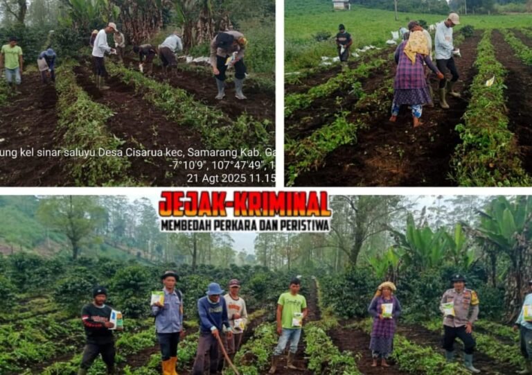 Giat Monitoring Lokasi Lahan NON LBS, Yang Di Gunakan Penanaman Jagung Di Wilkum Polsek Samarang.