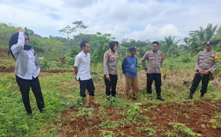 Polres Ciamis Dukung Rencana Penanaman Jagung di Desa Cintanagara, Wujud Kepedulian Polisi Terhadap Ketahanan Pangan