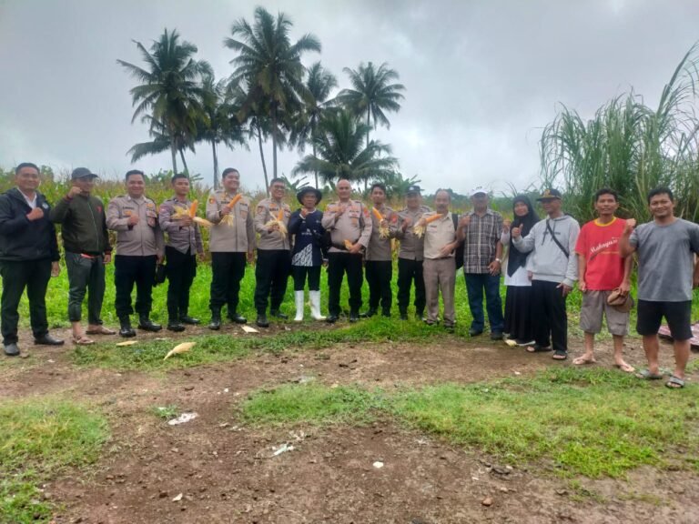 Polres Ciamis Tinjau Lahan Pertanian Jagung di Cikoneng, Kapolres Tekankan Dukungan Polri untuk Ketahanan Pangan Nasional