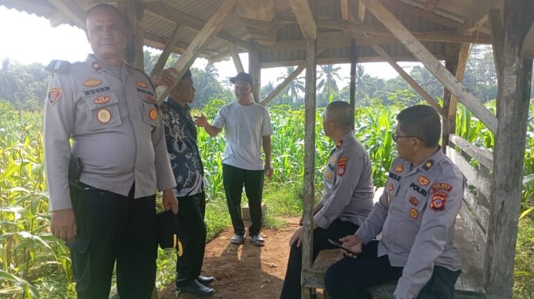 Polres Ciamis Lakukan Pengecekan Lahan Jagung di Cikoneng, Wujud Dukungan Kepolisian untuk Ketahanan Pangan