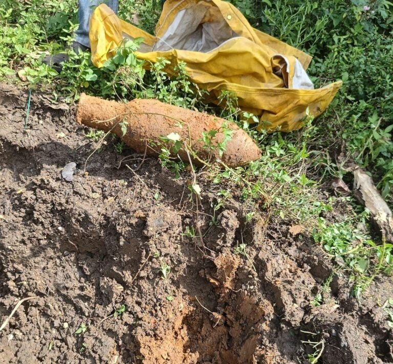 Polsek Pameungpeuk Evakuasi Mortir Bersejarah dari Lahan Warga di Garut