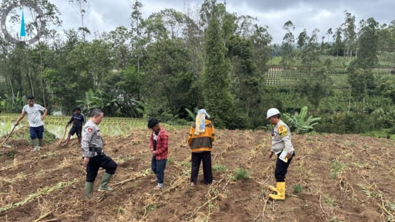 Polsek Pasirwangi Tanam Jagung di Lahan 1 Hektar, Dukung Program Ketahanan Pangan