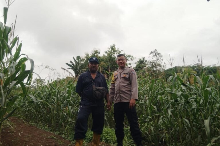 Polres Ciamis Dorong Ketahanan Pangan Lewat Monitoring Tanaman Jagung di Desa Pamalayan