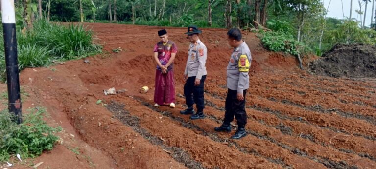 Ketahanan Pangan, Polsek Rajadesa Polres Ciamis Cek Area Tanam Jagung di Lahan Warga