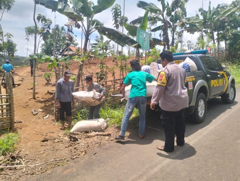 Polres Ciamis Salurkan Pupuk Kohe untuk Dukung Ketahanan Pangan Lewat Program Tanam Jagung