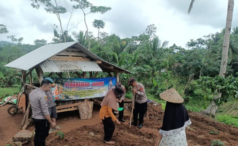 Polres Ciamis Dukung Ketahanan Pangan, Tanam Jagung di Lahan Non LBS Tambaksari