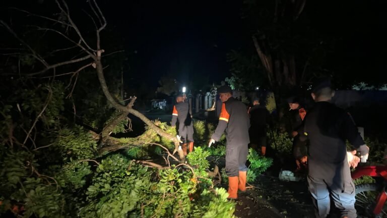Brimob Polda Sumut Sigap Evakuasi Pohon Tumbang, Wujud Nyata Kehadiran di Tengah Masyarakat Pematangsiantar