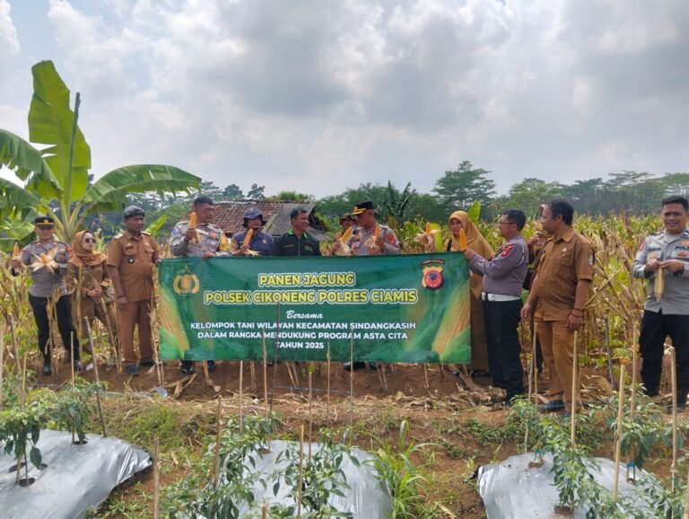 Polsek Cikoneng Hadiri Panen Jagung di Desa Wanasigra, Kapolres Ciamis Tekankan Sinergi Polisi dan Petani
