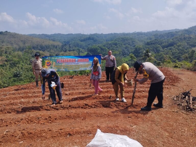 Ketahanan Pangan, Polres Ciamis Ikut Tanam Jagung Bareng Poktan Kurnia Desa Bunter