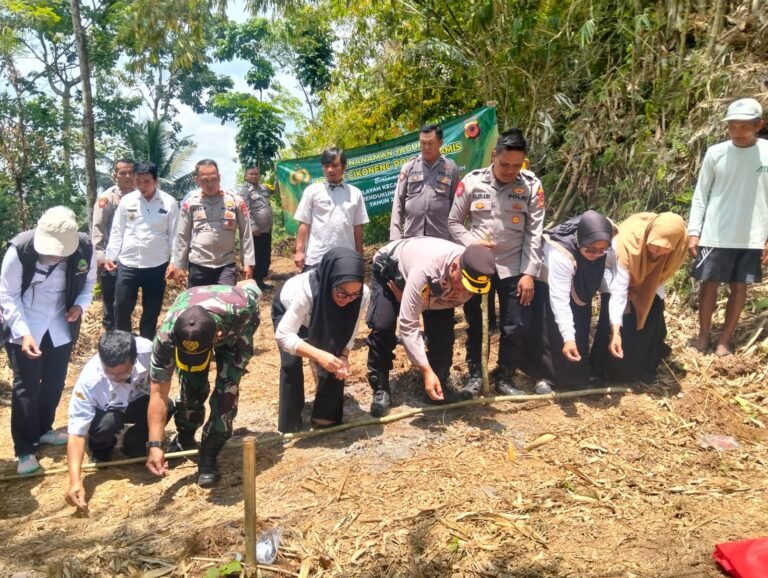 Polsek Cikoneng Dukung Program Ketahanan Pangan Lewat Penanaman Jagung Serentak di Sindangkasih