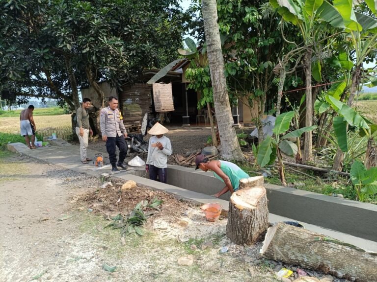 Polsek Lakbok Bersinergi Awasi Pembangunan Desa, Bhabinkamtibmas dan Babinsa Monitoring Proyek Peningkatan Tersier di Kalapasawit