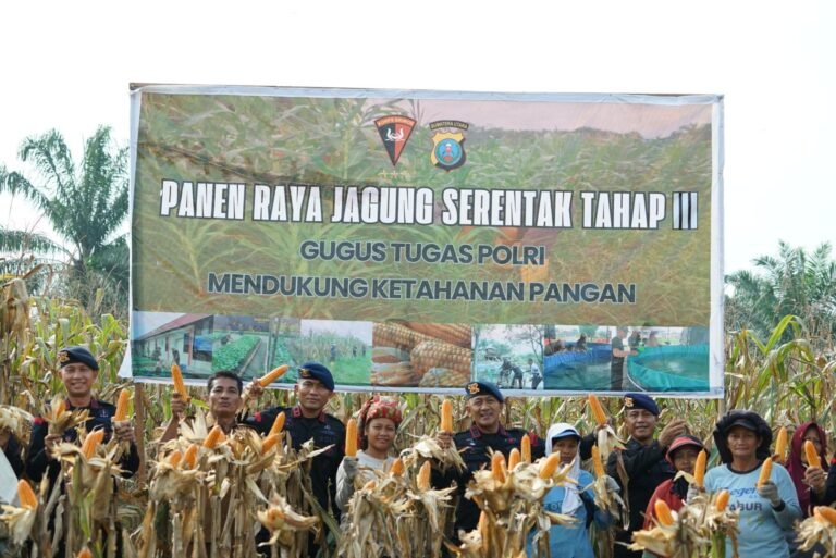 Brimob Polda Sumut Panen Raya Bersama Petani: Wujud Nyata Polri Dukung Ketahanan Pangan Nasional