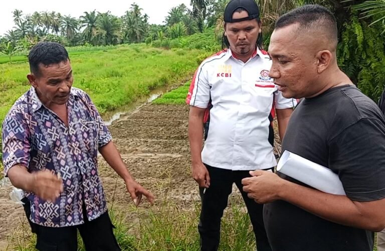 Bantahan Tajam atas Berita Kisruh Antara Abang dan Adik Pembodohan publik