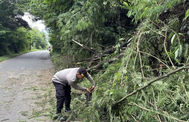 Polsek Pasirwangi Tanggap Cepat Atasi Pohon Tumbang di Jalan Raya Bukit Rejeng