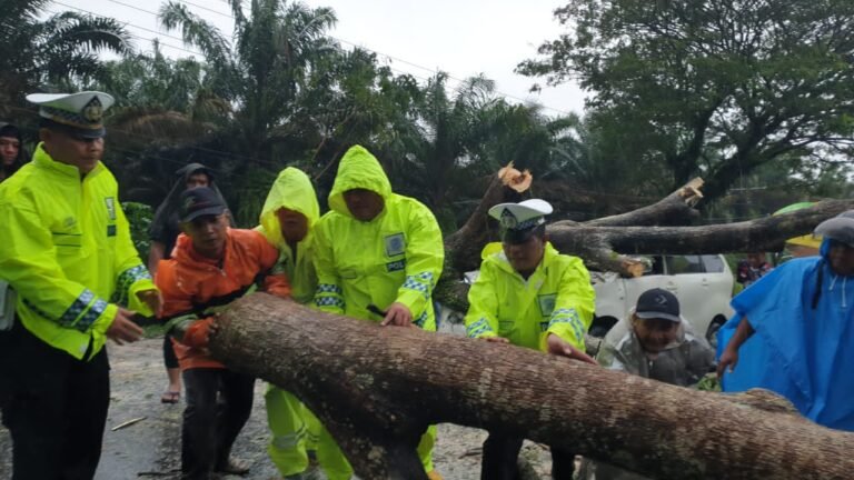 Personil Polres Batu Bara Evakuasi Pohon Tumbang Mobil Avanza Tertimpah