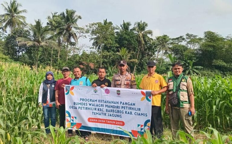 Polsek Ciamis Dukung Ketahanan Pangan Lewat Monitoring Pertumbuhan Jagung Hibrida di Lahan Bumdes Petirhilir