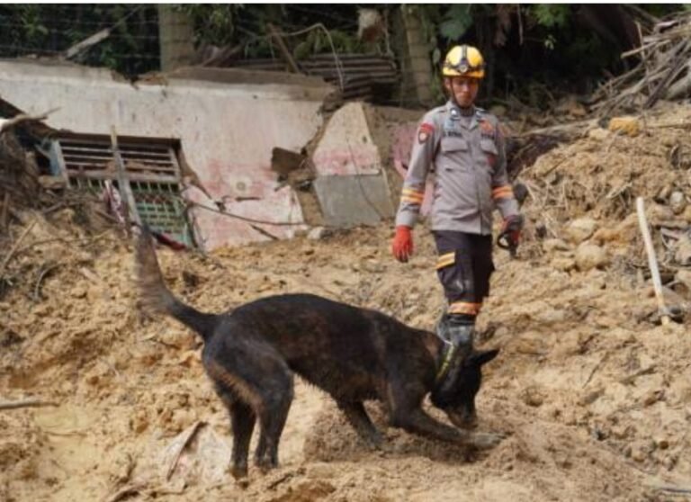 Tim K-9 Polri Berhasil Temukan Titik Diduga Lokasi Korban