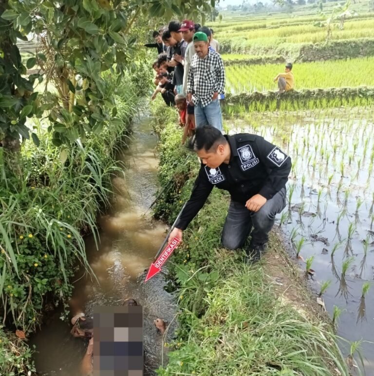 Polsek Kadungora Evakuasi Penemuan Mayat di Aliran Sungai Cipala