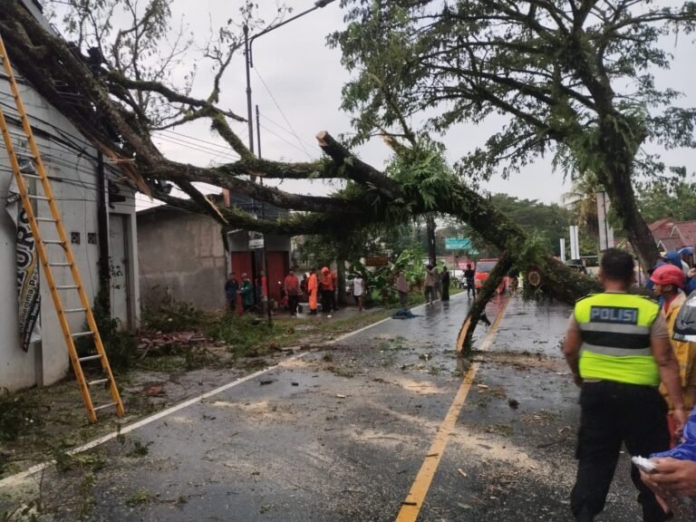 Polri Siaga Bencana, Polsek Cijeungjing Polres Ciamis Evakuasi Pohon Tumbang ke Tempat Penggilingan Padi