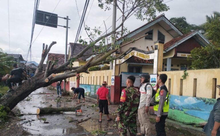 Angin Kencang dan Hujan Lebat Sebabkan Pohon Tumbang, Sinergi TNI–Polri dan BPBD Amankan Jalur di Kadungora